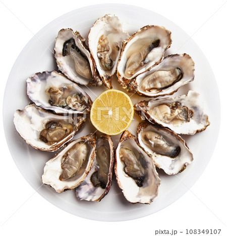 Fresh open oysters served with lemon Fresh open oysters served with lemon 108349107