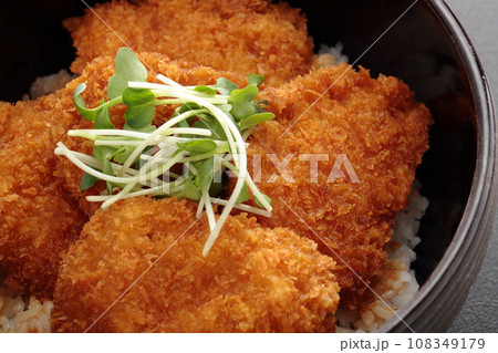 タレカツ丼 108349179