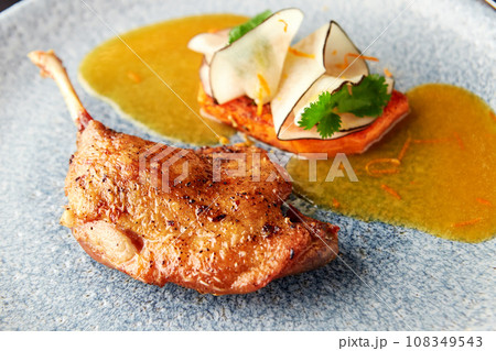Duck leg with vegetable garnish of carrot and black radish. 108349543