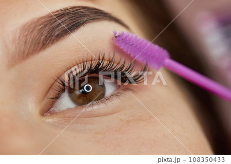master combs the eyelashes of the client after the eyelash extension procedure. close-up. Cosmetology and skin care master combs the eyelashes of the client after the eyelash extension procedure. close-up. Cosmetology and skin care 108350433