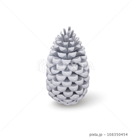 Fir Cone 108350454