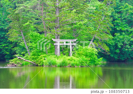 大沼の浮島 大沼の浮島 108350713