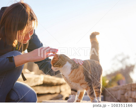 cats of Turkey, small resort town of Side with ancient Greek ruins. female tourist petting stray cat on street over sunset time in spring or fall season 108351166