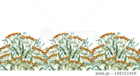 Seamless border watercolor bouquet of meadow leaves and yellow tansy, flowers, branches and wild dry grass. Evergreen grass field in nature, meadow in springtime. Summer botany, natural elements Seamless border watercolor bouquet of meadow leaves and yellow tansy, flowers, branches and wild dry grass. Evergreen grass field in nature, meadow in springtime. Summer botany, natural elements 108351956