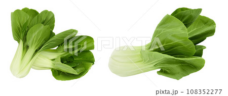 Fresh pak choi cabbage isolated on white background with full depth of field Fresh pak choi cabbage isolated on white background with full depth of field 108352277