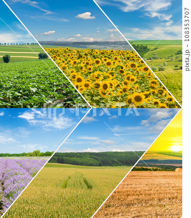 green field and blue sky with light clouds. Collage. green field and blue sky with light clouds. Collage. 108353707