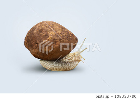 Creative snail carries stone weight, concept. Slow hard success, creative idea. Leadership Creative snail carries stone weight, concept. Slow hard success, creative idea. Leadership 108353780