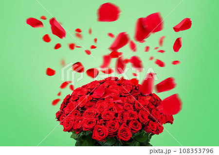 Beautiful bouquet of red roses with flying petals on a green background. Valentine's Day and romance, creative idea. Love 108353796