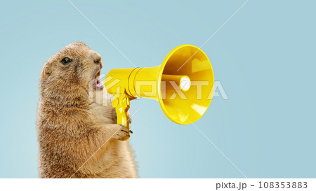 Funny gopher is holding a loudspeaker and screaming on a blue background. Creative idea, management and business. The concept of advertising and attracting attention. Animal scream 108353883