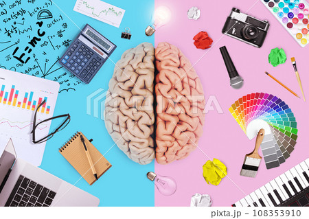 Creative brain with left math business functions and right creative art ability. Logic, mind and skills, creative idea. Teaching choice, concept. School and college. Genius 108353910