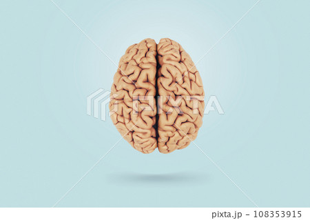 Real creative brain on a blue background, top view. Creative idea, concept. Health and neurosurgery 108353915