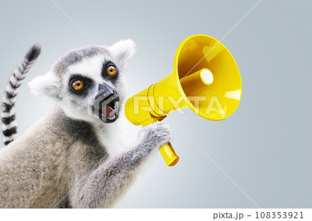 Funny beautiful lemur is holding a yellow loudspeaker and screaming on a neutral background. Attracting attention and marketing, creative idea. Successful leader. Speaks loudly, concept 108353921