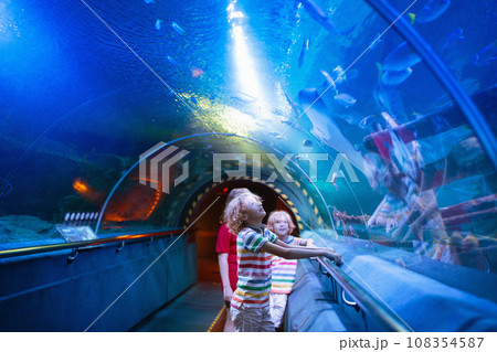 Family in aquarium. Kids watch fish, marine life Family in aquarium. Kids watch fish, marine life 108354587