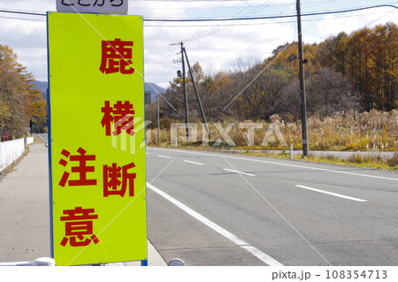 道路に設置された立て看板 道路に設置された立て看板 108354713