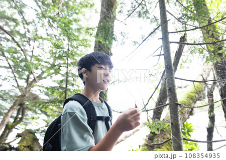 苔と原生林の中を歩く子供 108354935