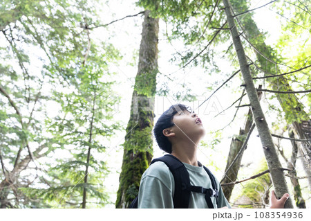 苔と原生林の中を歩く子供 108354936
