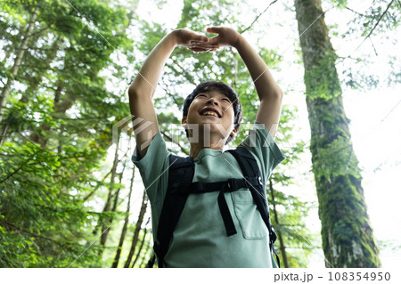 苔と原生林の中を歩く子供 108354950