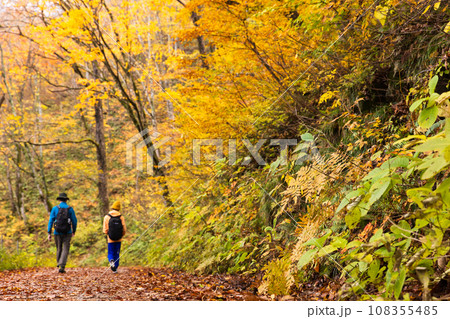 紅葉の森をハイキングする親子 108355485