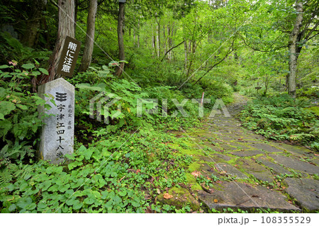 宇津江四十八滝　遊歩道入口（岐阜県高山市国府町） 108355529