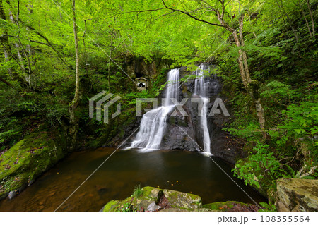 宇津江四十八滝 上段滝(岐阜県高山市国府町) 宇津江四十八滝 上段滝(岐阜県高山市国府町) 108355564