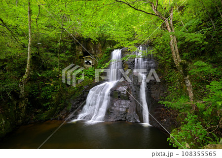 宇津江四十八滝　上段滝（岐阜県高山市国府町） 108355565