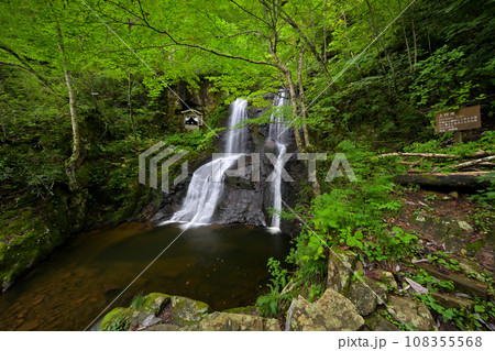 宇津江四十八滝　上段滝（岐阜県高山市国府町） 108355568