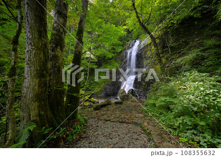 宇津江四十八滝　王滝（岐阜県高山市国府町） 108355632