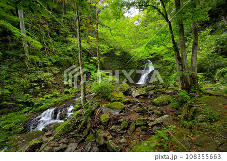 宇津江四十八滝　梵音滝（きよのき滝）遠景（岐阜県高山市国府町） 108355663