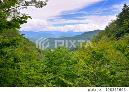 宇津江四十八滝　北アルプスが見える展望台（岐阜県高山市国府町） 108355668