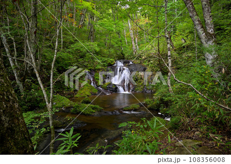 宇津江四十八滝 布晒滝(ぬのさらし滝)岐阜県高山市国府町 宇津江四十八滝 布晒滝(ぬのさらし滝)岐阜県高山市国府町 108356008