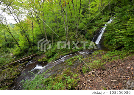 宇津江四十八滝　平滝と上段に見える函滝（岐阜県高山市国府町） 108356086