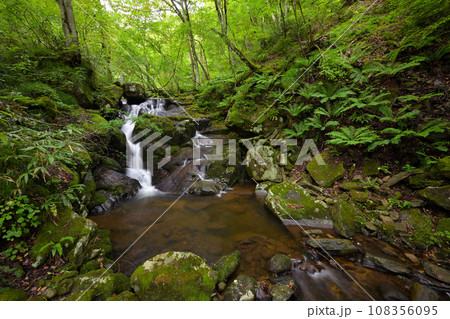 宇津江四十八滝　魚返滝（うおがえり滝）岐阜県高山市国府町 108356095