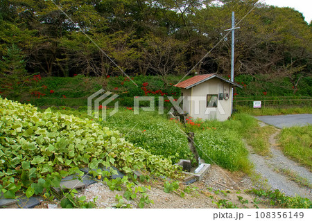 田舎の小川のある風景 108356149