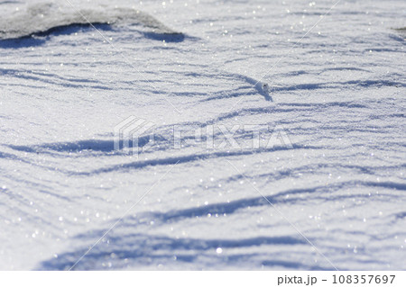 北海道 真冬の大津海岸の風雪紋 北海道 真冬の大津海岸の風雪紋 108357697