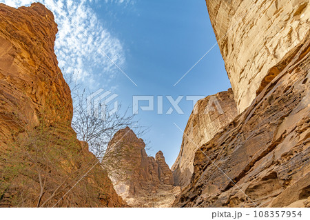 ジャバル・イクマ(サウジアラビア、アル・ウラ) 108357954