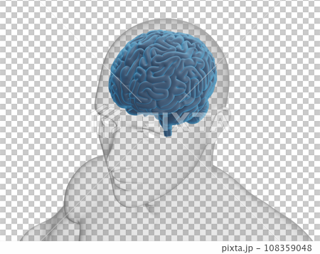 人體和大腦透明/藍色/傾斜視圖 108359048
