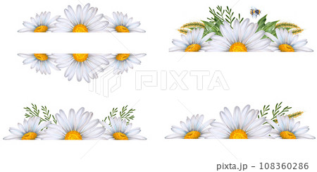 Set of watercolor floral banners, composition of wildflowers and plants drawn on white background. White daisies, green leaves, bumblebee, ears of wheat. To decorate your design, corporate identity Set of watercolor floral banners, composition of wildflowers and plants drawn on white background. White daisies, green leaves, bumblebee, ears of wheat. To decorate your design, corporate identity 108360286