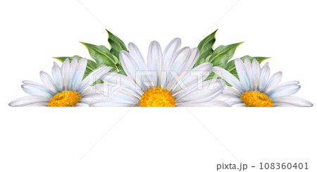 Watercolor floral banner , a composition of wildflowers and plants drawn on a white background. White daisies , green leaves. Application for the design of postcards, invitations, banners 108360401