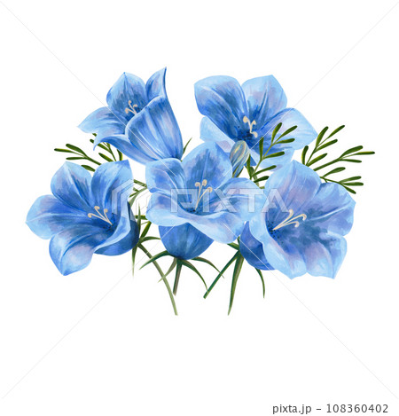 Illustration painted in watercolor. Bluebell flowers set. Isolated on a white background. Application for postcards, invitations 108360402