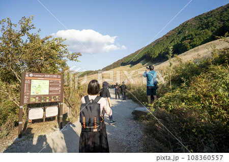 仙石原すすき草原の風景 108360557