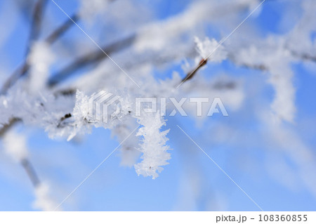 木の枝に付いた霧氷 木の枝に付いた霧氷 108360855