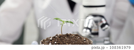 Lady scientist examines sample of soil under microscope 108361979
