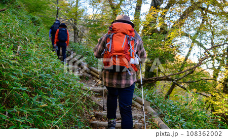 紅葉した森の中を歩く登山者 紅葉した森の中を歩く登山者 108362002