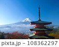 新倉山浅間公園からの富士山と紅葉 108362297