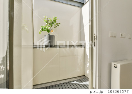 a plant in a pot on the floor next to an open door that leads to a balcony with white walls 108362577