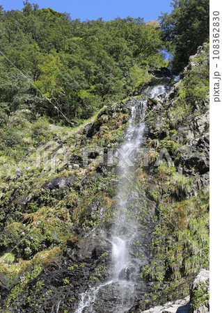 十津川村の十二滝 108362830
