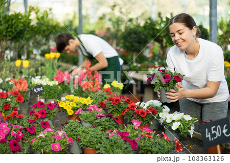 Young girl chooses flowering petunia in pot instead of bouquet for gift to colleague 108363126
