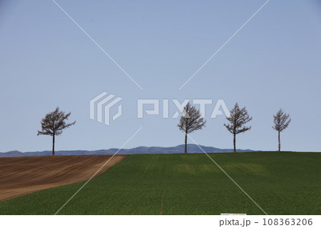 メルヘンの丘の風景_大空町 メルヘンの丘の風景_大空町 108363206