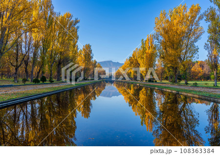 札幌市前田森林公園の紅葉 札幌市前田森林公園の紅葉 108363384