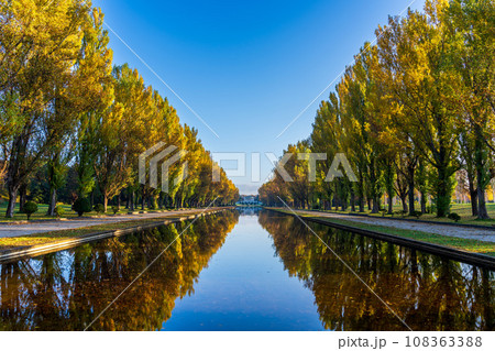 札幌市前田森林公園の紅葉 札幌市前田森林公園の紅葉 108363388